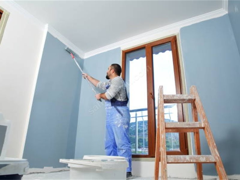 Koyulhisar Boya Badanacı